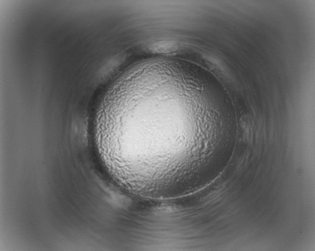X0000068300404200604241342