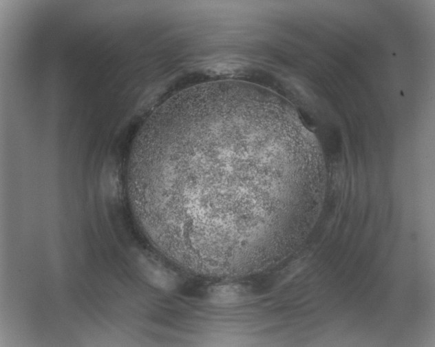 X0000068300408200604241342