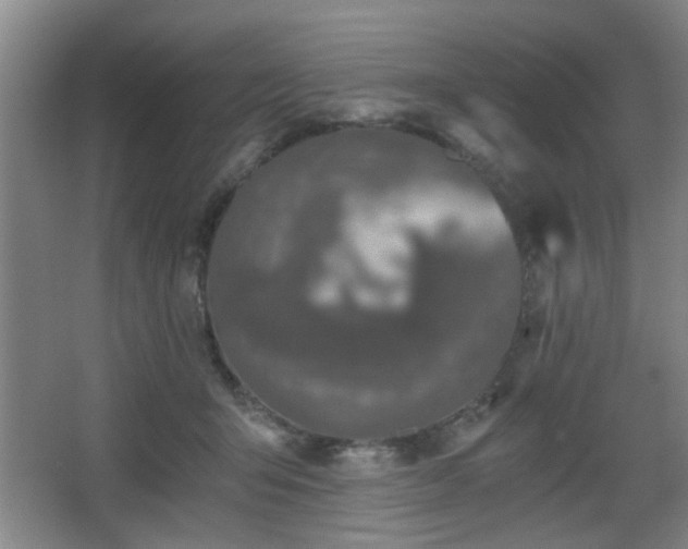 X0000068300415200604241342