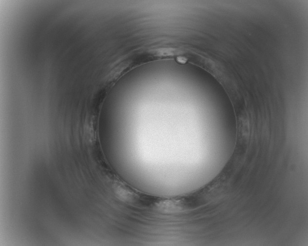 X0000068300422200604241342