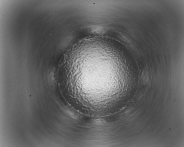 X0000068300424200604241342