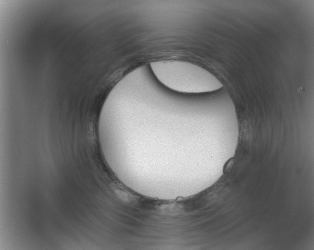 X0000068300426200604241342