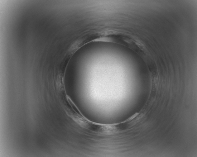 X0000068300429200604241342