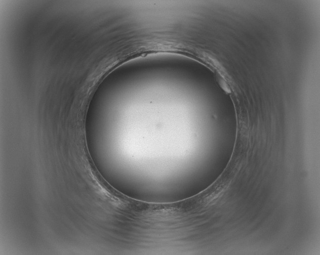 X0000068300433200604241341