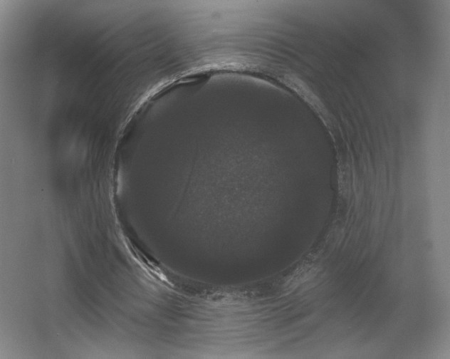 X0000068300434200604241341