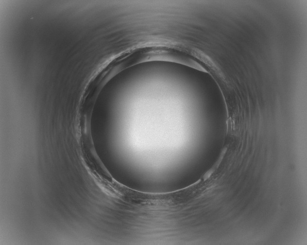 X0000068300436200604241341