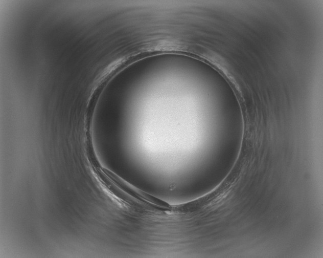 X0000068300437200604241341