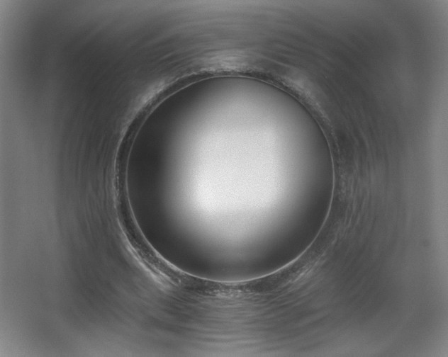 X0000068300439200604241341