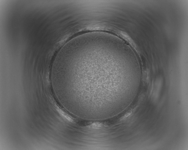 X0000068300441200604241341
