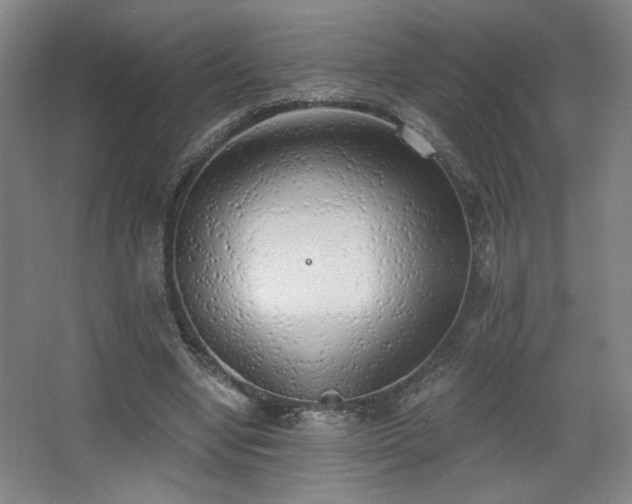 X0000068300442200604241341