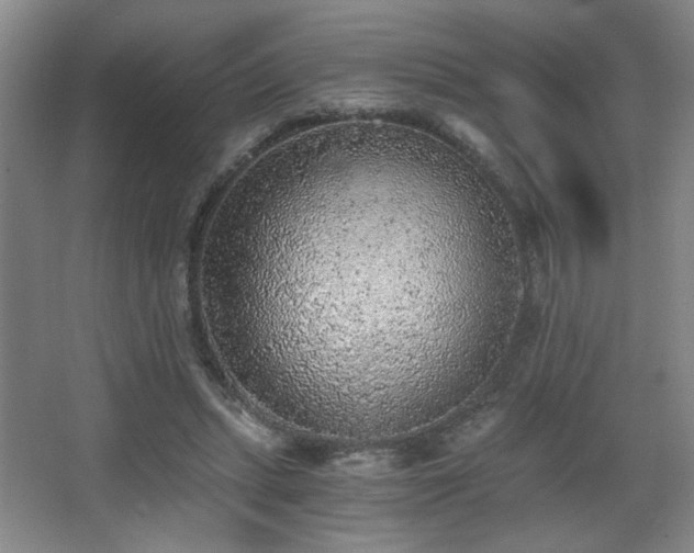 X0000068300447200604241341