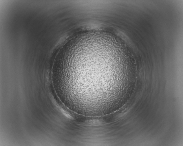 X0000068300449200604241341
