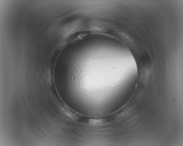X0000068300457200604241341