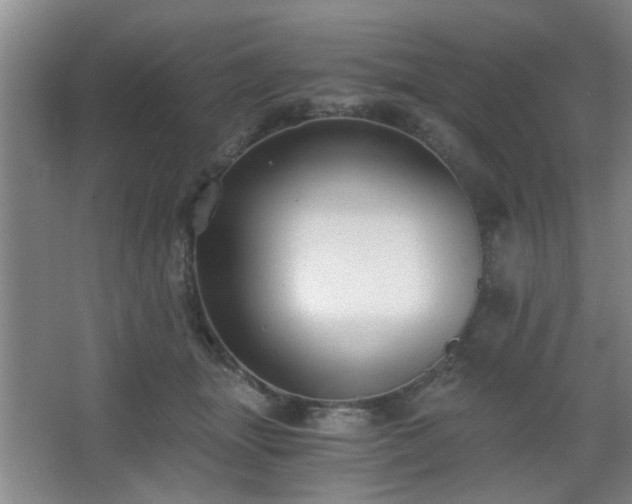 X0000068300463200604241342