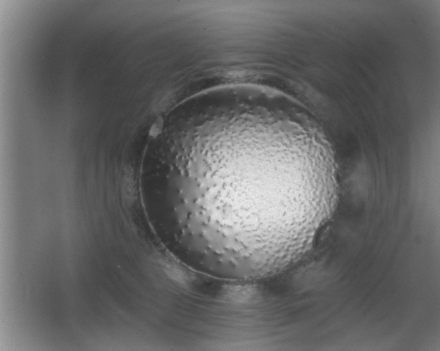 X0000068300469200604241342