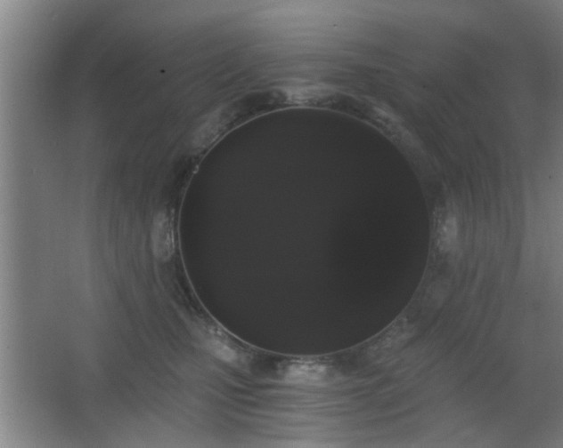 X0000068300471200604241342