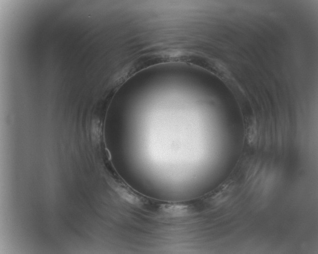 X0000068300476200604241342