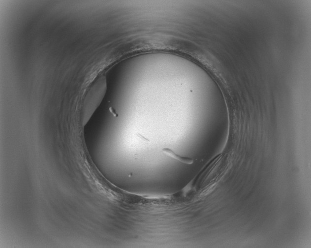 X0000068300481200604241341