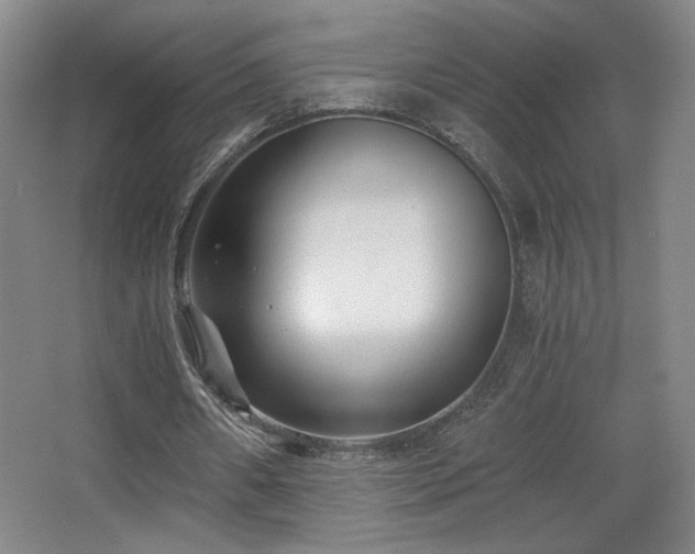 X0000068300482200604241341