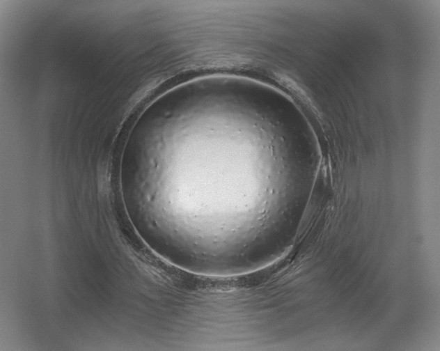 X0000068300483200604241341