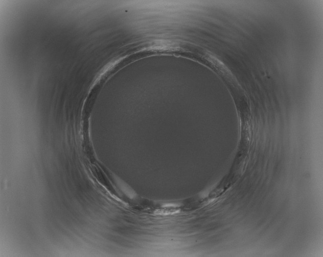 X0000068300484200604241341