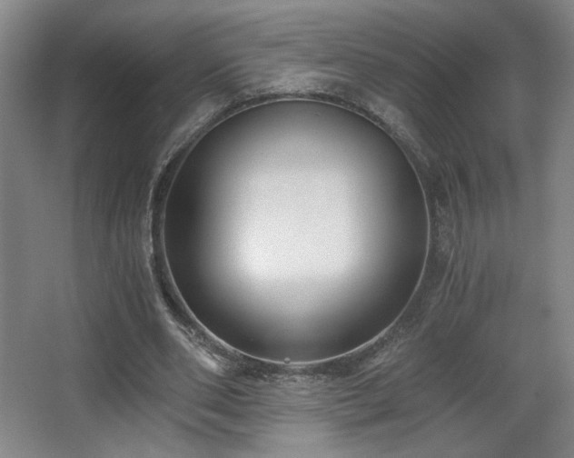 X0000068300486200604241341