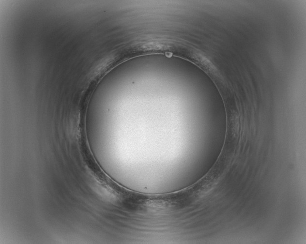 X0000068300490200604241341