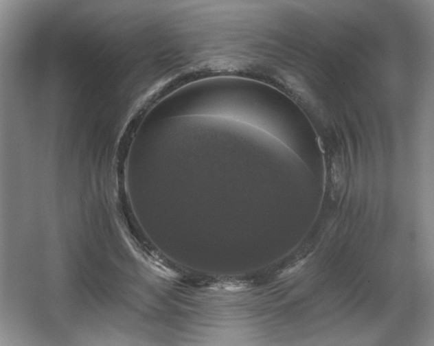 X0000068300492200604241341