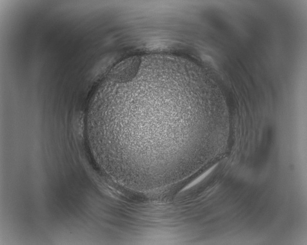 X0000068300495200604241341