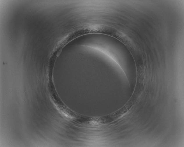 X0000068300496200604241341
