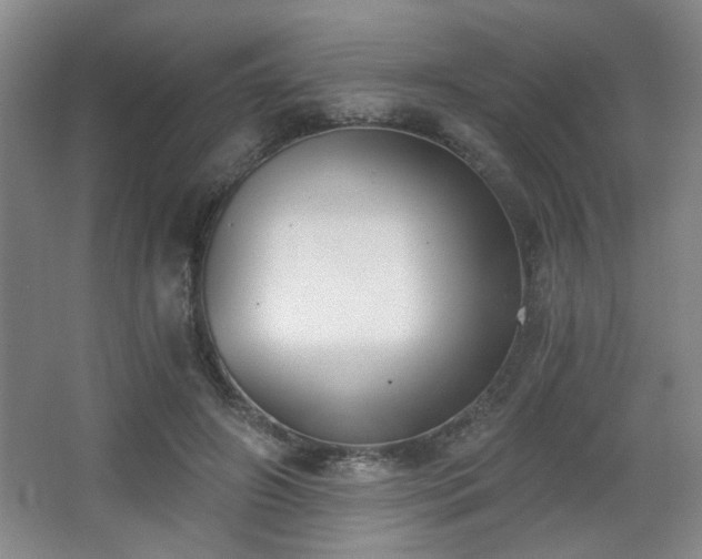 X0000068300498200604241341