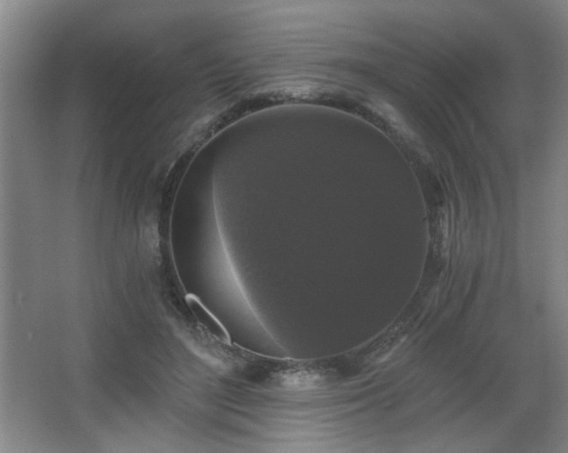 X0000068300500200604241341