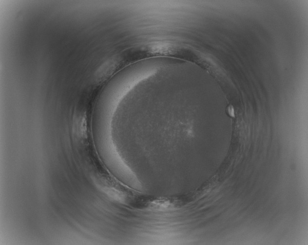 X0000068300502200604241341
