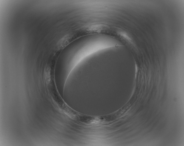 X0000068300504200604241341