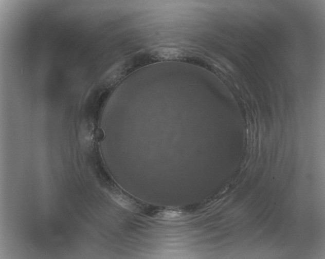 X0000068300507200604241340