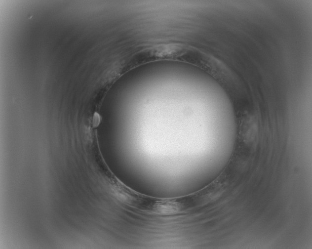X0000068300510200604241340