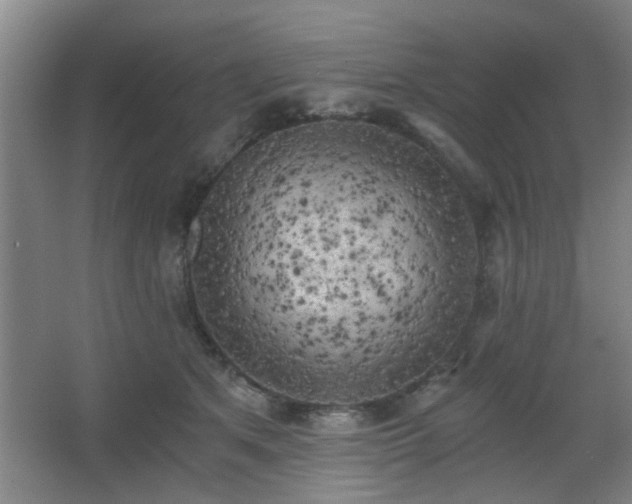 X0000068300513200604241340
