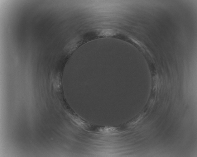 X0000068300517200604241340