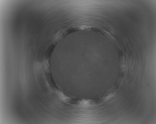 X0000068300523200604241340