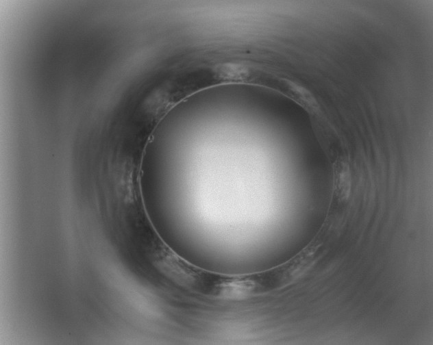 X0000068300525200604241340