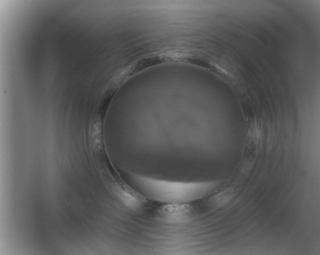 X0000068300526200604241340