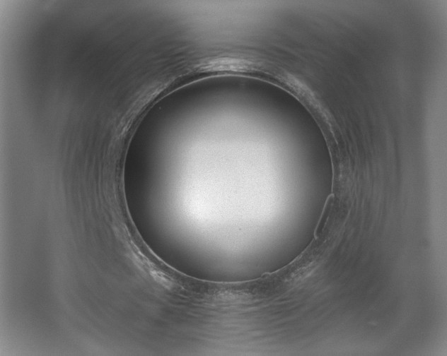 X0000068300529200604241339