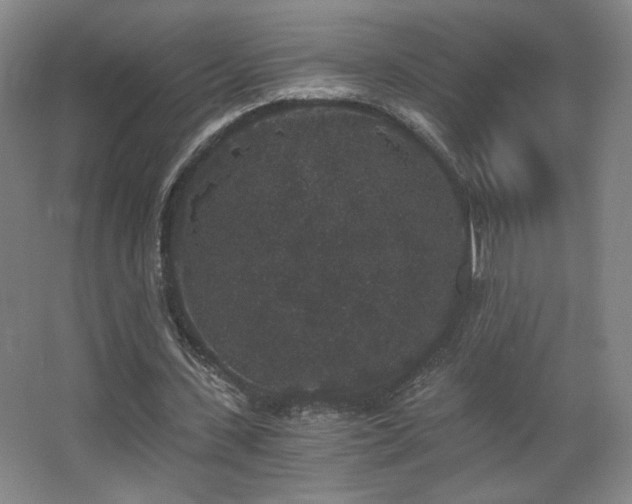 X0000068300531200604241339