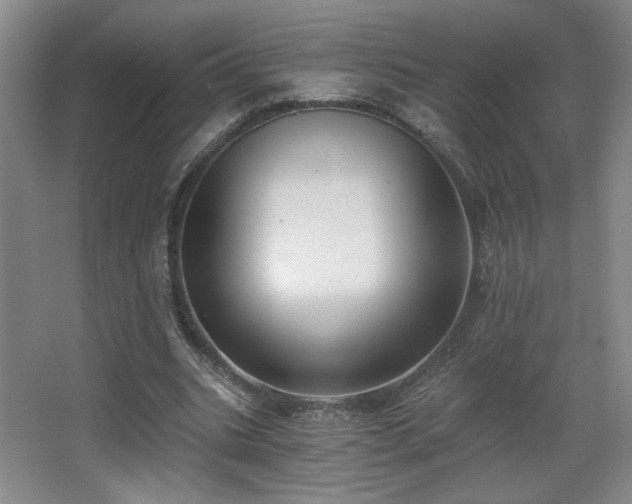 X0000068300535200604241339