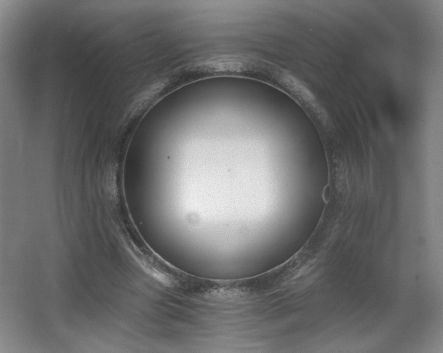 X0000068300537200604241339