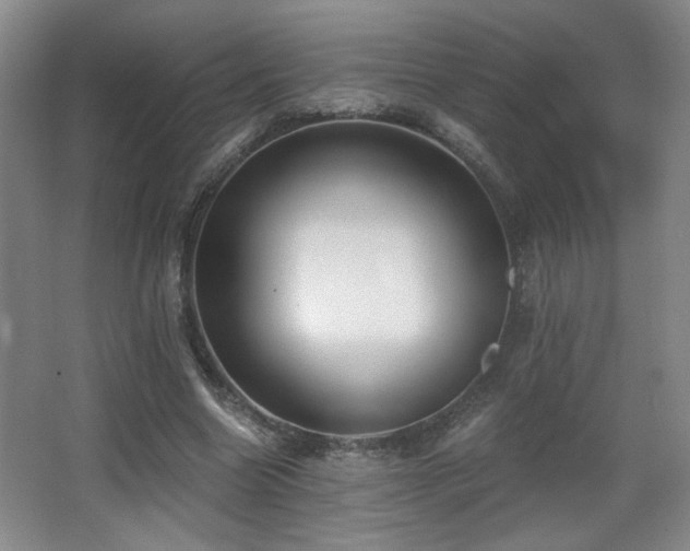X0000068300538200604241339