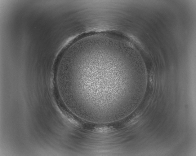 X0000068300540200604241339