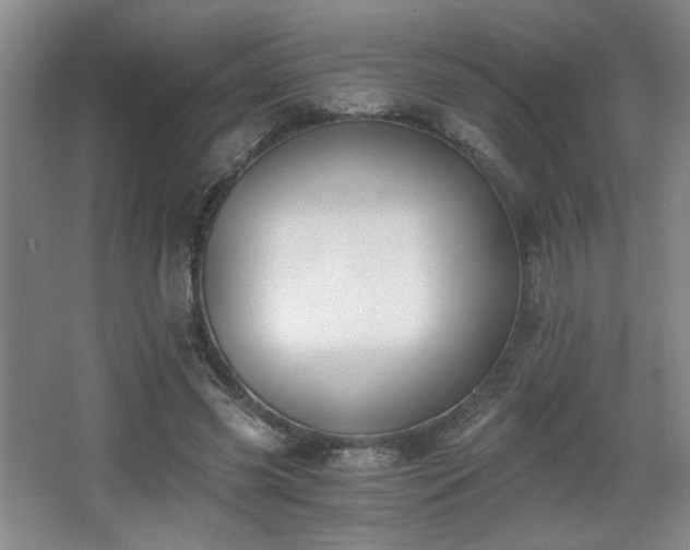 X0000068300541200604241339
