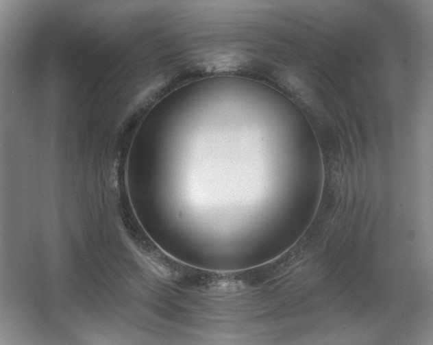 X0000068300543200604241340