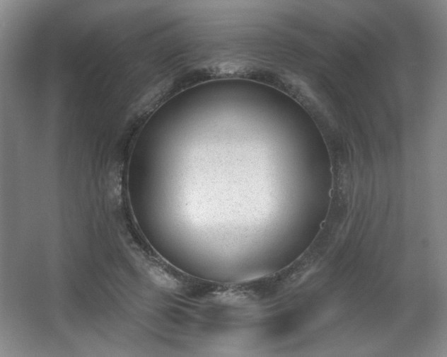 X0000068300545200604241340